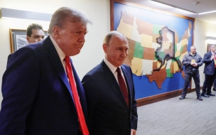 Опрос показал отношение россиян к встрече Путина и Трампа на Аляске