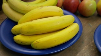 Поставщик бананов из Эквадора отсудил $749 тыс. у петербургской компании