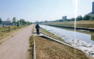 В Петербурге полностью очистят Дудергофский канал к 2024 году