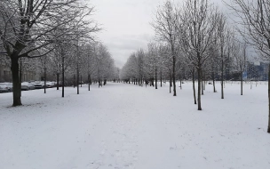 В Петербурге выпало более 4 см снега