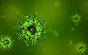 Учёные выявили в кишечнике человека порядка 140 тысяч новых вирусов