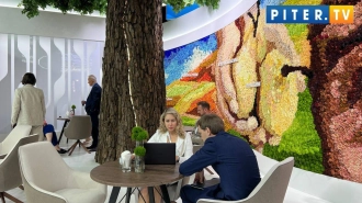  ПМЭФ-2023 принёс Петербургу более 660 млрд рублей инвестиций