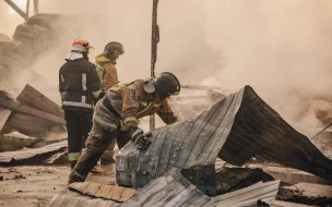 В пожаре на Шафировском сгорели два человека