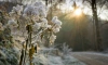 Ночью 5 марта в Ленобласти температура местами опустится до -18 градусов