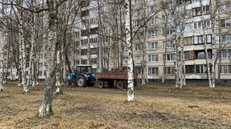 «Обман, а не уборка»: петербуржцы пожаловались на фиктивные фотоотчеты коммунальщиков