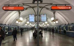 Петербуржцы пожаловались на увеличенный интервал движения на оранжевой ветке метро 