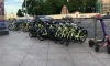 В мае могут закончиться запасы велосипедов в Петербурге