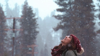 Луга вошла в топ-10 популярных направлений на зимние каникулы