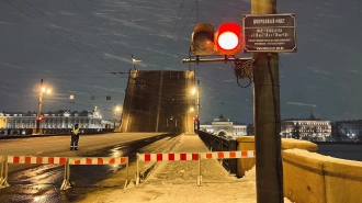 Дворцовый мост в центре Петербурга назвали самым живописным в России