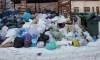 Вице-губернатор Пикалев назвал причину мусорного коллапса