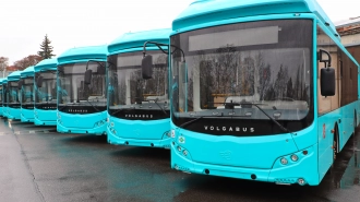 Петербург получил еще 48 новых автобусов