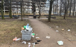 Жители Васильевского острова пожаловались на мусор у памятника Бродскому
