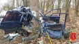 В Гатчине водитель легковушки погиб, врезавшись в дерево