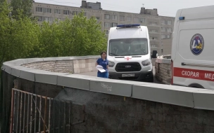 Семилетний петербуржец выпал из окна 4 этажа из-за москитной сетки