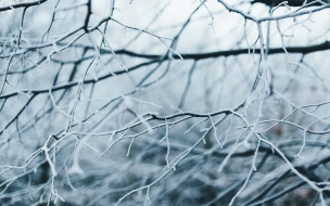В среду в некоторых районах Ленобласти ударят морозы до -20
