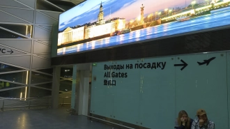 "Россия" возобновила рейсы из Петербурга в Геленджик