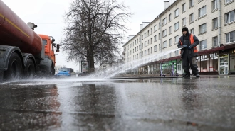 В Петербурге прошла генеральная уборка улиц 