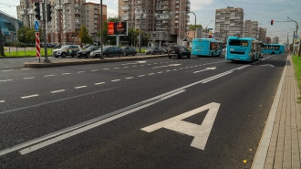 В Петербурге пенсионерка получила 50 тысяч рублей за зажатую дверью автобуса ногу