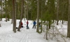 Первые электропоезда к "Лыжным стрелам" из Петербурга запустят 23 и 24 декабря