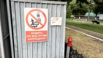 В Калининском районе электричка сбила петербуржца в наушниках
