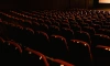 В Петербурге хотят выделить школьникам деньги на билеты для поддержки кинотеатров