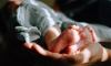 В Ленобласти с начала 2023 года родилось более 10 тысяч детей