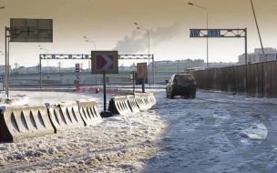 Более 20 человек погибли в Ленобласти из-за выезда на встречную полосу за месяц