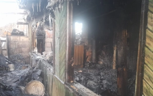 В Колпино полицейские спасли пенсионеров из пожара в частном доме