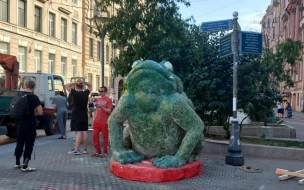 Петербуржцев удивил новый арт-объект в виде жабы