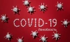 Среднесуточное количество новых случаев COVID-19 в Ленобласти закрепилось на одном уровне