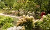 В СПбГУ начали восстановление Ботанического сада с открытия Японского сада