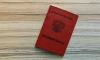 Участие в акциях памяти Навального* обернулось петербуржцам вручением повесток