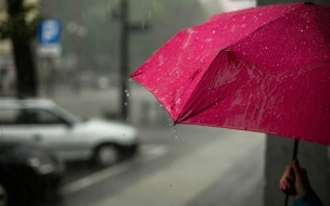 В Ленобласти 3 мая пройдёт небольшой дождь