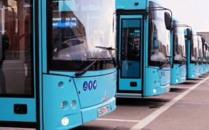Новые автобусы вышли на маршрут №254 на юге Петербурга