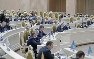 Депутаты ЗакСа Петербурга выберут дату выборов в 2021 году