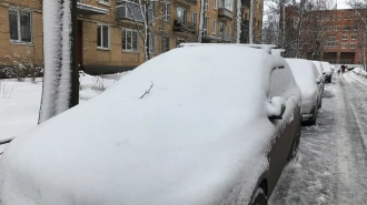 В Петербурге ночной снегопад заставил водителей ночевать на улице