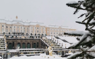 В парках Петергофа в марте появятся киоски с блинами и бургерами