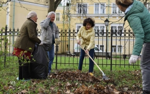 Более 200 тысяч петербуржцев приняли участие в Дне благоустройства 