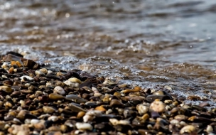 Рекордное число водоемов намерены очистить в Петербурге