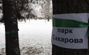 Петербуржцы создали петицию за сохранение парка академика Сахарова
