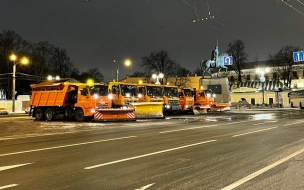 В Петербурге за период с 30 ноября выпало 45 сантиметров снега