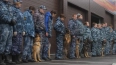 В Петербурге военных собак привьют от коронавируса ...