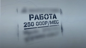 Омбудсмен Светлана Агапитова рассказала депутатам о том, как работают закладчики