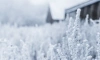 В Ленобласти 25 ноября местами похолодает до -14 градусов