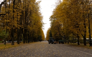 В Петербурге 24 октября погоду сформирует гребень антициклона