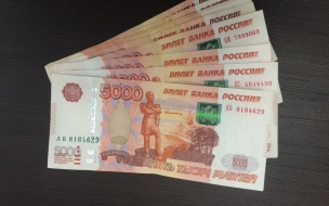 Петербург оказался в десятке регионов РФ по уровню зарплат в отраслях