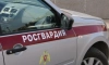 Росгвардейцы задержали двух похитителей дорогого смартфона в Петербурге