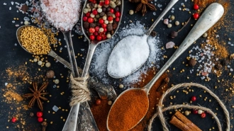 Петербуржцам назвали пять продуктов, которые могут заменить соль