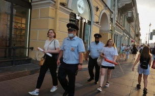 На Невском проспекте задержали двух активисток за одиночные пикеты