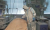 За минувшие сутки в Петербурге скончались 40 пациентов, болевших коронавирусом